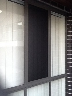 Window Grille Security Doors - Sun Blinds & Screens in Sydney